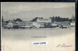 08-2022 - HAR300 - SUISSE - Précurseur - VAUD -COPPET - Vue Générale - Coppet