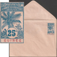 Guinée 1906. Enveloppe, Entier Postal Pour L'étranger. Timbre à 25 C Au Type « Palmier » - Covers & Documents