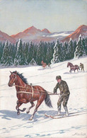 Mailick Alfred, Skijöring, Militaires à Ski Tiré Par Un Cheval (6699) - Mailick, Alfred