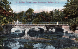 Buffalo - Bridge, Forest Lawn Cemetery - Buffalo