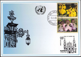 UNO GENF 2005 Blaue Karte - Blue Card  Mit Erinnerungsstempel NANCY - Lettres & Documents