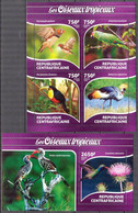 Central African Republic 2015 Tropical Birds Sheet + S/S MNH - Central African Republic