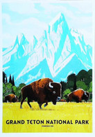 ► GRAND TETON   - NATIONAL PARK -  Wyoming Buffalo - USA Nationale Parken