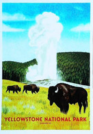 ► YELLOWSTONE   - NATIONAL PARK - Buffalo  Wyoming Montana Idaho - Parques Nacionales USA