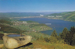 AK 073024 SWITZERLAND - Aeschiallmend - Blick Auf Thunersee - Aeschi Bei Spiez