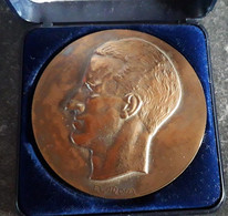 Médaille Commémorative:Le Roi Baudouin / Herinneringsmedaille: Koning Boudewijn / Gedenkmedaille: König Baudouin - Adel