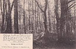 LA FORET EN NIVERNAIS          NEIGE EN AVRIL       SONNET  ACH MILLIEN.           PRECURSEUR - Arbres