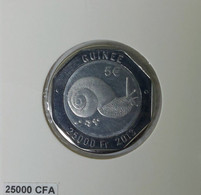 Guinea - 25000 Francs / 5 Euro 2013, Programme Solutions-Synergies (Fantasy Coin) (#1351) - Guinea