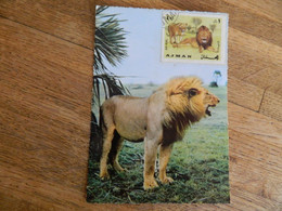 LION +TIMBRE: TRES BELLE CARTE D'UN LION ET TIMBRE DE AJMAN - Lions