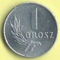 M314 - POLEN - 1 GROSZ 1949 - Pologne