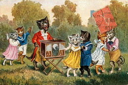 Chats Humanisés * CPA Illustrateur * L'orgue De Barbarie * Musique Musicien Danse * Chat Cat Cats Katze Humanisé - Gatti