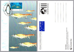 Cooperacion Cientifica En La Antartida - BIOLOGIA MARINA - MARINE BIOLOGY. Kingston Tas 1990 - Fauna Antartica