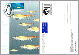 Cooperacion Cientifica En La Antartida - BIOLOGIA MARINA - MARINE BIOLOGY. Kingston Tas 1990 - Fauna Antártica