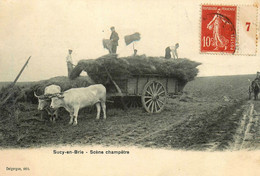 Sucy En Brie * Scène Champêtre * Fenaison Foins * Paysans Scène Agricole Agriculture Attelage Boeufs - Sucy En Brie