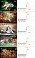 India 2022 Nandankanan Zoological Park , International Tiger Day,  5 Postcards Pack Set + Case , MNH(**) Inde Indien - Brieven En Documenten