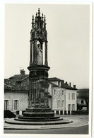 Cahors - La Vierge De Saint-Georges - Photographie JL Nespoulous - Voir Scan - Cahors