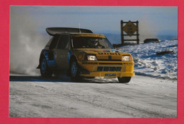 BELLE REPRODUCTION D'APRES UNE PHOTO ORIGINALE - PEUGEOT 205 TURBO 16 GRAND RAID PARIS DAKAR - MICHELIN SHELL - Automobili