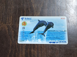 China-(SX-2003-121)-DOLFIN-(16)-(50units)-(316-591)-(38784895)-used Card - Pesci