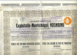 LA HAYE « NV Exploitatie –Maatschappij NOEMBING » (1910) – Titre D’1/10e De Part De Fondateur - Agriculture