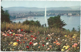 AC1166 Geneve - Le Lac - Le Jet D'Eau Et La Ville Depuis Le Coteau De Cologny / Non Viaggiata - Cologny