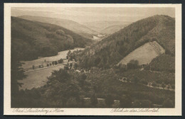 Bad Lauterberg Im Harz ,blick In Das Luthertal + 1930 , NOT USED - 2 Scans For Condition.(Originalscan !!) - Bad Lauterberg