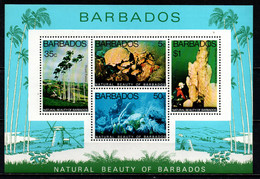 BARBADOS - 1977 - Natural Beauty Of Barbados - Souvenir Sheet - MNH - Barbados (1966-...)