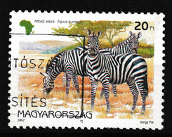 1997 Ungarn ° , Zebra - Paarden
