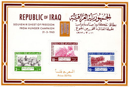 Irak 1963, Freedom For Hunger, Agricolture, BF - Agriculture