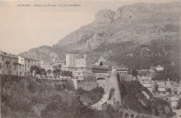 CPA - Monaco - Palais Du Prince - La Tête Du Chien - Dos Non Divisé - Palais Princier