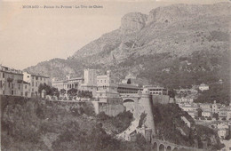 CPA - Monaco - Palais Du Prince - La Tête Du Chien - Dos Non Divisé - Palazzo Dei Principi