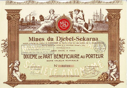 - Titre De 1925 - MInes Du Djebel-Sekarna - Société Anonyme  - Déco - Mines