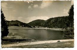 Oyonnax - Le Lac Génin - Oyonnax