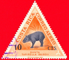 COSTA RICA - Usato - 1963 - Mammiferi Nativi - Tapiro - Danta - Tapirella Bairdii - 10 P. Aerea - Costa Rica