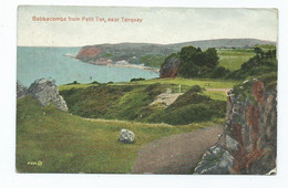 Postcard Devon Babbacombe From Petit Tor Torquay Posted Torquay 1921 Also Teignmouth - Torquay