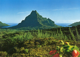 MOOREA - Vue Du Belvédère Sur Le Mont Rotui Et Les Baies D'Opunohu Et De Pao Pao - Polynésie Française