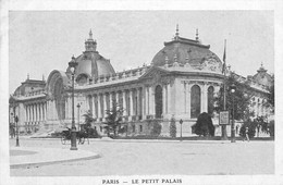 75 PARIS. Petit Palais - Other Monuments