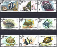 Sharjah 1966 - Mi 229/45A - YT 149/65 ( Marine Life : Fishes ) Complete Set - Sharjah