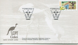 South Africa Ciskei - Date-stamp Card - Stempelkarte - Fauna Cattle - Ciskei