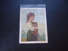 Original Old Card Chromo Liebig S 60 - Liebig