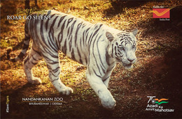 India 2022 Nandankanan Zoological Park , International Tiger Day,  (2/5) Postcard , MNH(**) Inde Indien - Cartas & Documentos