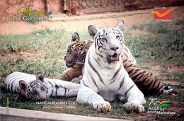 India 2022 Nandankanan Zoological Park , International Tiger Day,  (3/5) Postcard , MNH(**) Inde Indien - Cartas & Documentos
