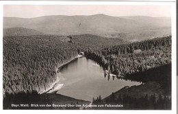 Bayr. Wald - Blick Von Der Seewand über Den Aebersee Zum Falkenstein Von 1941 (5963) - Regen