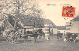 28-CHATEAUDUN-LA FERME SAINT-MARTIN - Chateaudun