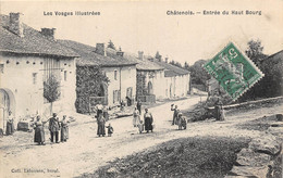 88-CHATENOIS- ENTREE DU HAUT BOURG - Chatenois