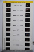 LESTRADE :  1765  FLEURS DE MONTAGNES 1 - Stereoscopes - Side-by-side Viewers