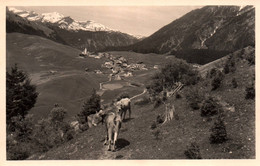 Berwang I. Tirol Mit Lechtaler Alpen - Berwang
