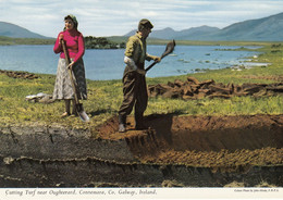 Postcard Cutting Turf Near Oughterard Connemara Co Galway Ireland [ John Hinde ] My Ref B25514 - Galway