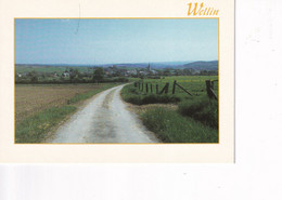 Wellin - Panorama - Wellin