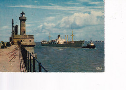 Zeebrugge - Vuurtoren Op Het Havenhoofd - Zeebrugge