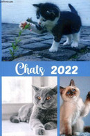 Chats 2022 Agenda - Collectif - 2022 - Terminkalender Leer
